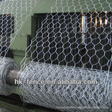 hexagonal wire net